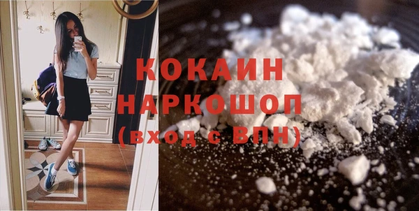 кокс Алексин