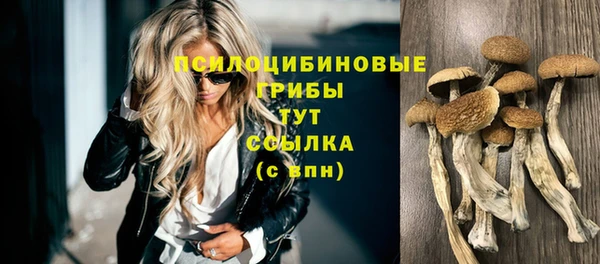 кокс Алексин